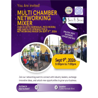Multi Chamber Mixer