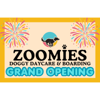 Zoomies Doggie Daycare Grand Opening