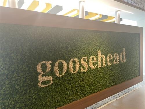 Goosehead Office