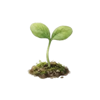 Websprout Agency