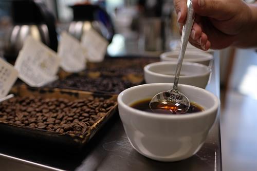Coffee Cupping for Quality