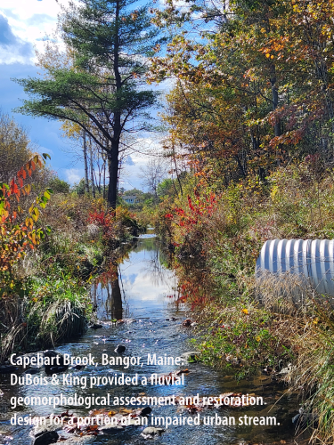 Capehart Brook, Bangor, Maine. DuBois & King provided a fluvial geomorphological assessment and restoration design for a portion of an impaired urban stream.