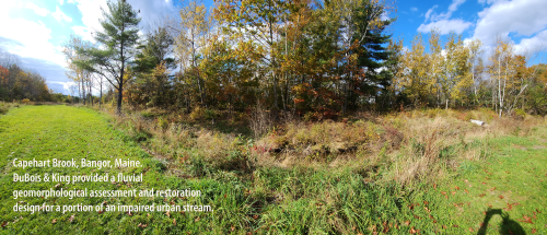 Capehart Brook, Bangor, Maine. DuBois & King provided a fluvial geomorphological assessment and restoration design for a portion of an impaired urban stream.