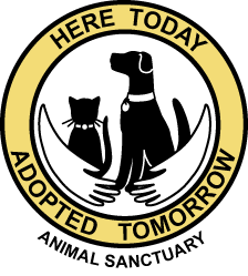 Here Today Adopted Tomorrow Animal Sanctuary, Inc