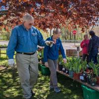 Hitchcock Academy Hosts Double Header with Annual “Grow With Us” Plant Sale and Farmers’ Market