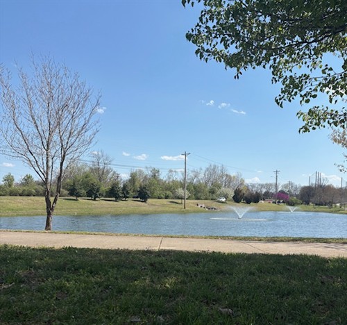 Gallery Image IMG_3970.jpeg