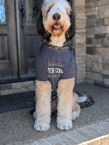 Gallery Image PXL_20250415_180237466.PORTRAIT.jpg