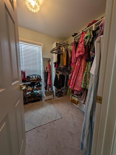 Gallery Image PXL_20250614_181029251.RAW-01.MP.COVER.jpg