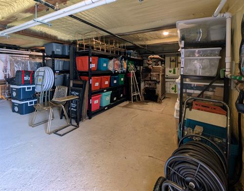 Gallery Image PXL_20250717_165805659.RAW-01.COVER.jpg