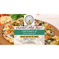Chamber After Hours Hosted by: Odd Moe's