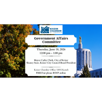 Government Affairs Committee