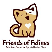 Friends of Felines 