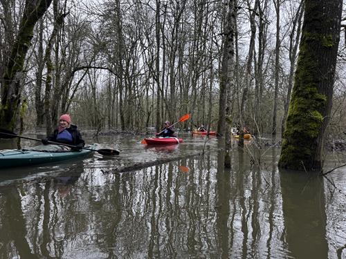 Kayak Adventures through the Trees at Minto Brown Park during High water time. By Oregon Kayak Tours LLC