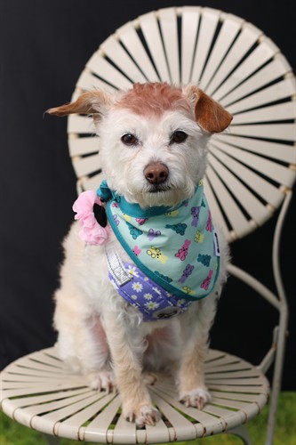 Gallery Image IMG_4206.JPG