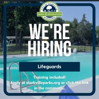 Lifeguards Needed!