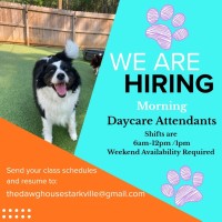 The Dawg House Playground & Salon