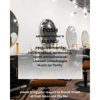 Posh Salon and Dry Bar