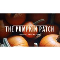 The Pumpkin Patch @ Valley Pasture Farm
