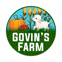 Govin's Farm Fall Fun