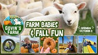 Fall Festival