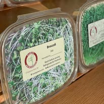 Gallery Image microgreens.jpg