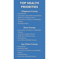 Local health assessments identify top health priorities for Chippewa Valley