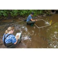 University interns gain environmental job skills 