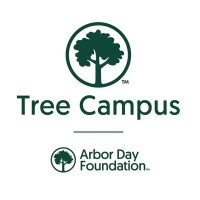 UW-Stout’s new Tree Campus