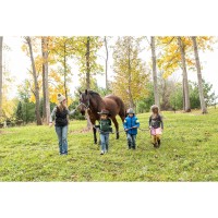 Equine therapy gives UW-Stout clinical mental health students skills