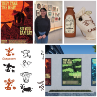 UW-Stout Polytechnic graphic design, interactive media senior awarded national AIGA Worldstudio D×D 