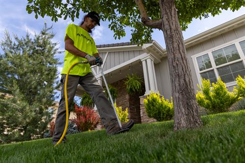 Gallery Image 25_bullard_tree_garden.jpg Gallery Image 25_bullard_tree_garden.jpg