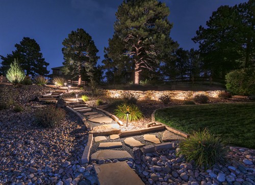 Backyard Landscape Lighting