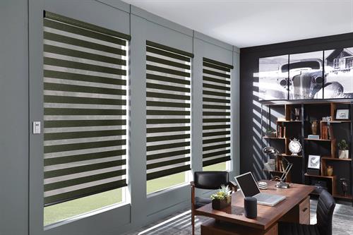 Add a modern look and flexible light control with zebra shades