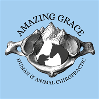 Amazing Grace Human and Animal Chiropractic