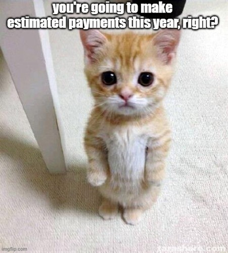 Gallery Image 031823_Kitten.jpg