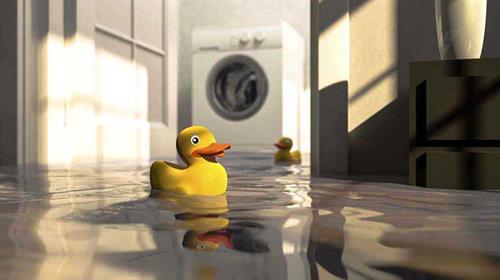 Gallery Image Flooded_basement_pic.jpg