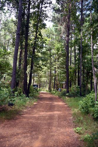 Sporting Clays in the pines