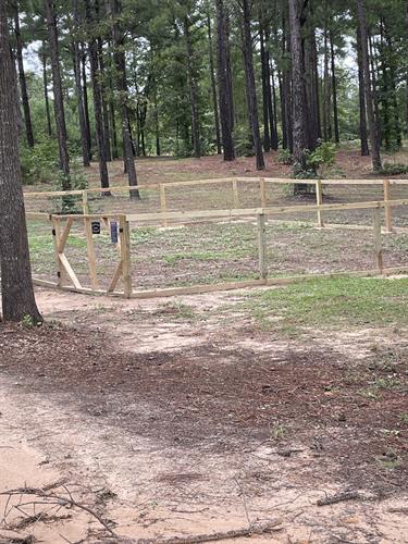 Dog Park