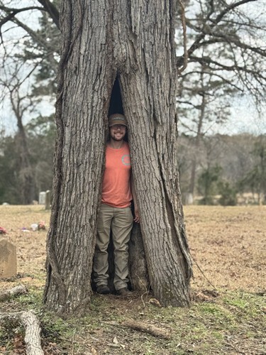 Colton in old tree in Elkhart