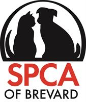 SPCA of Brevard Thrift Store