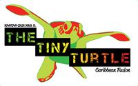 The Tiny Turtle
