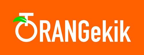 Gallery Image Business_Card_Logo_-_Orange_Background.jpg