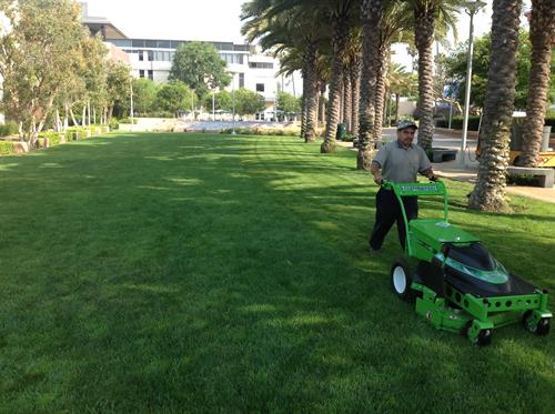 Santa Monica College