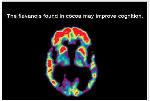 Chocolate Improves Cognition