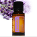 Free Introduction to Essential Oils