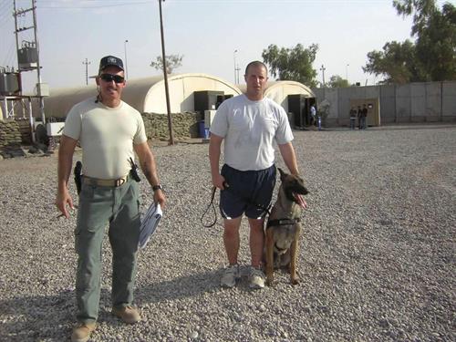 Canine Training Iraq