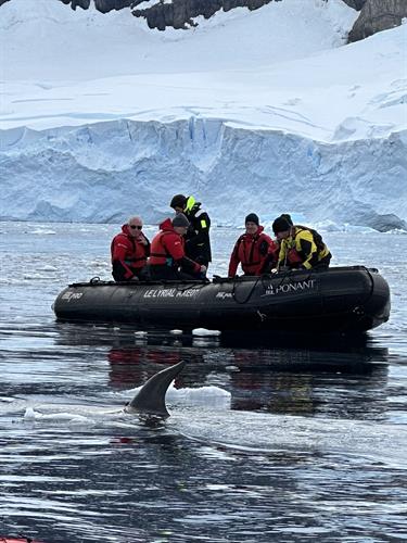 Zodiac Landing Tour -  Smithsonian Antarctica Expedition Cruise