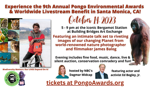 Join us at the 9th Annual Pongo Environmental Awards on Oct 14th in Santa Monica