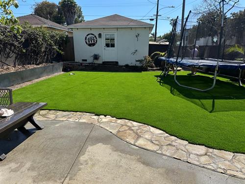 Front Yard