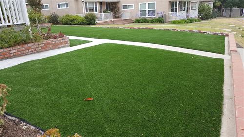 Waterless Saving Lawn